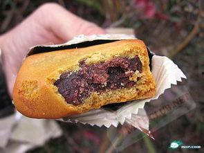 小胖试吃国产军粮视频大全,小胖带你领略军粮美味与营养