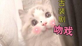 吻戏国产剧片段合集视频,国产剧吻戏片段集锦回顾